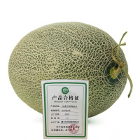 艾提尕西周蜜瓜500克/份