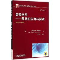 正版新书]智能电网:欧美的应用与实践哈德赛德9787111493945