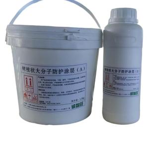 诚智旺 树枝状大分子防护涂层 白色 1.2kg+0.3kg /组