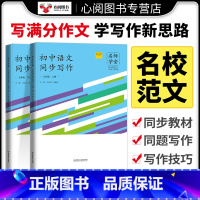 文言+文史典故精粹 九年级上 [正版]名师学堂新版初中生语文同步作文写作阅读九年级上下册古诗文阶梯助学每日一文语文阅读理