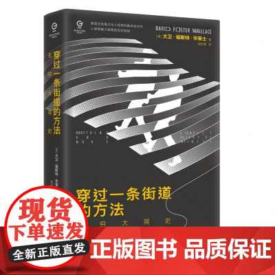 穿过一条街道的方法:无穷大简史 万有引力书系 大卫福斯特华莱士数学之美数学史书籍微积分趣味数学与生活无穷大概念