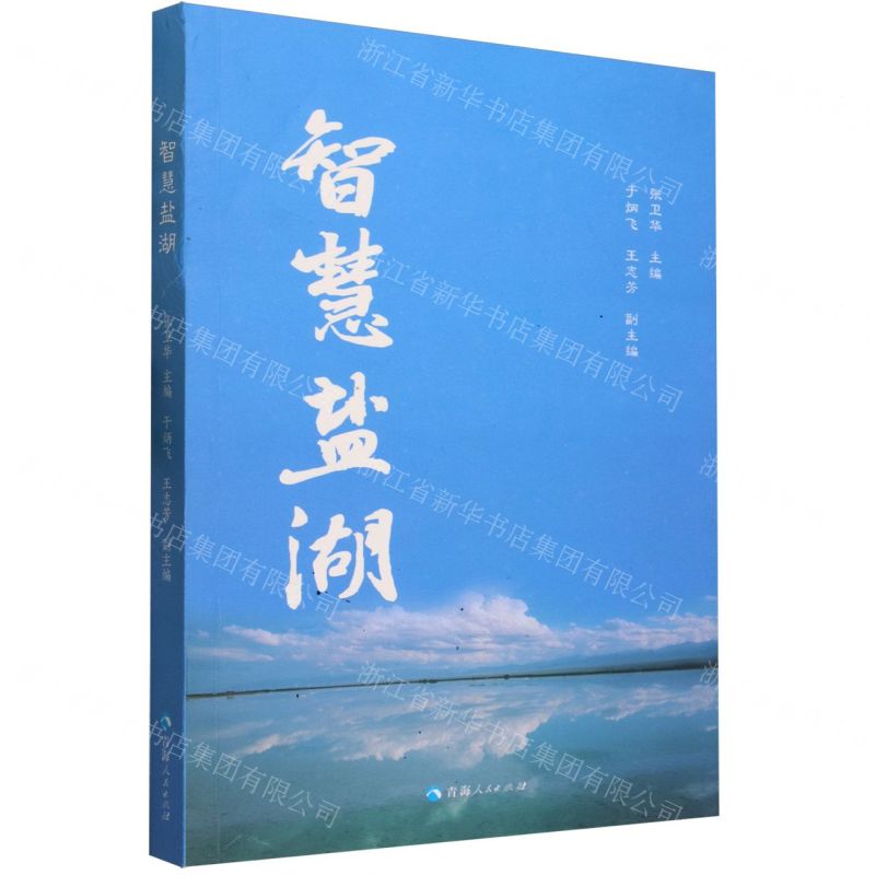 [N]智慧盐湖-9787225065397