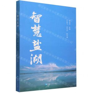[N]智慧盐湖-9787225065397