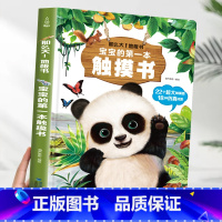 宝宝的第一本触摸书[超大地板书] [正版]宝宝的第一本触摸书 婴儿书早教益智玩具0到2-3岁绘本1岁半立体书地板书本撕不