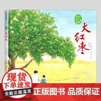 大红枣绘本(正版硬壳精装)我们的田野系列,韩国出版文化奖,儿童绘本3三-4-5到6岁以上幼儿园大中小班孩子早教阅读睡前故