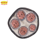 傻实在 电缆 国标全项保检ZC-YJV 4*25mm²+1*16mm² 米
