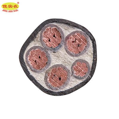 傻实在 电缆 国标全项保检ZC-YJV 4*25mm²+1*16mm² 米