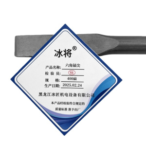 冰将 电锤尖扁凿六角镐尖工具冲击钻头 个
