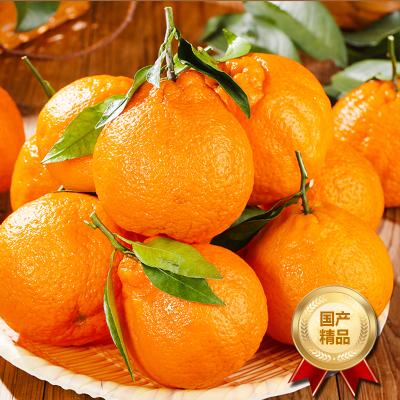 [熊猫鸟]四川不知火柑橘 净重3斤 大果 单果75mm+ 箱装 丑橘 橘子 新鲜应季水果