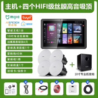 先科(SAST)智能AI家庭吸顶音响客厅无线智能语音主机+4个6.5英寸HiFi丝膜高音同轴吸顶音响+10吋专业低音炮