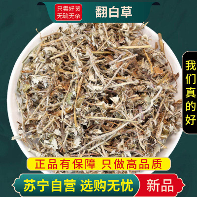 甄选翻白草100克官方店干货正品煮水泡茶另售绞股蓝茶苦丁茶正品