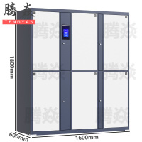 腾焱拖箱存放柜6门台