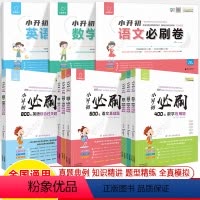 [7本]语数英必刷题 小学升初中 [正版]小升初必刷卷语文数学英语基础题阅读作文应用培优综合必刷卷2024小考总复习模拟
