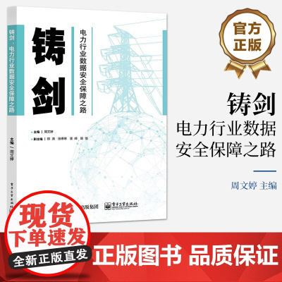 店 铸剑 电力行业数据安全保障之路 讲述电力行业数据安全实践著作 提高电力行业从业人员数据安全能力为目的 周文婷