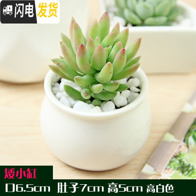 三维工匠多肉花盆白色陶瓷盆长方形肉肉植物简约白瓷多肉盆小绿植花卉盆器 小缸盆[6.5X6.5X5] 中等花盆容器