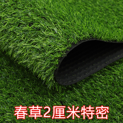 人工草坪草皮人造真坪地毯垫户外阳台装饰墙面塑料假绿色幼儿园人工皮春草2.0cm特密款-50平米