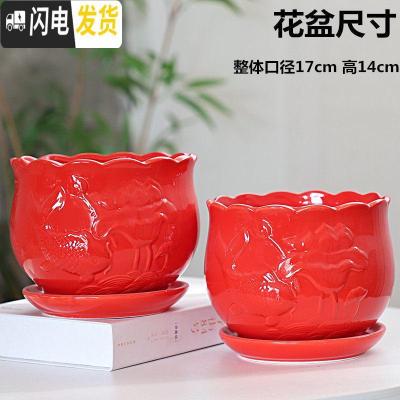 三维工匠红色花盆陶瓷大号家用中国风带托盘创意绿萝吊兰多肉花盆 202(尊贵红)大号两个 大花盆容器
