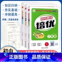 数学 九年级/初中三年级 [正版]初中数学培优7七8八9九年级上下全一册通用版基础提高竞赛题奥数思维拓展训练单元知识同步