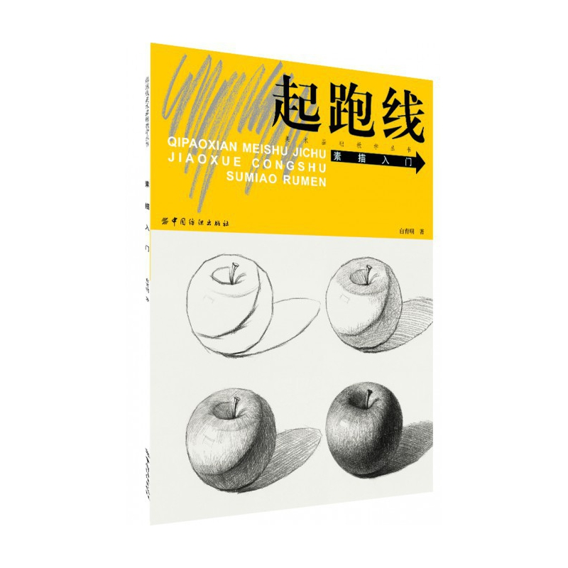 音像素描入门/起跑线美术基础教学丛书白育明