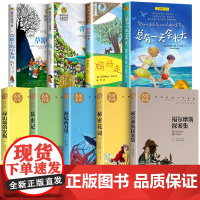 四年级阅读课外书必读 全套9册 草原上的小木屋 青鸟书正版秘密花园海底两万里总有一天会长大小学生阅读课外书籍老师上册下册