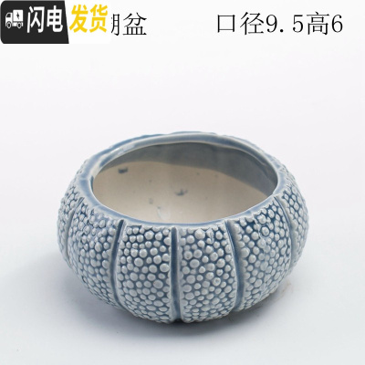 三维工匠少女心创意个性中大号口径拇指好看的多肉植物花盆器陶瓷 蓝色珊瑚盆 中等花盆容器