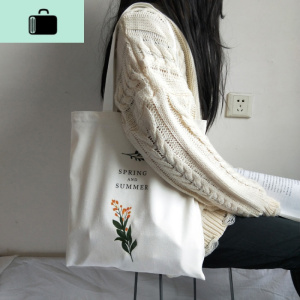 小清新时尚chic女单肩帆布包 ins超火包 韩版学生文艺包包布袋包NEW LAKE 春天和夏天白包女手包 春天和夏天白包