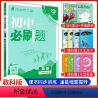物理 教科版 九年级上 [正版]2024新版初中必刷题九年级上册物理教科版 初三九上中考必刷题9年级上册练习册题库试卷中