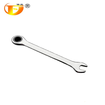 俸胤 两用棘轮扳手 10mm 把