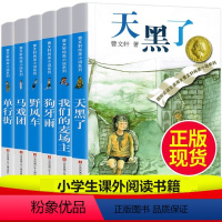 天黑了+狗牙雨+野风车+马戏团+单行街+麦场主(6本) [正版]全套6册曹文轩纯美小说系列完整版天黑了野风车狗牙雨单行街