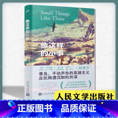[正版]YS 像这样的小事 精装 克莱尔·吉根 南极走在蓝色田野上作者作品入围布克奖短名单爱尔兰文学外国文学小说书人民