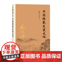 南怀瑾本人授权 中国佛教发展史略(第二版)南怀瑾著作 复旦大学出版社南怀瑾选集 哲学宗教国学经典书籍 正版书籍
