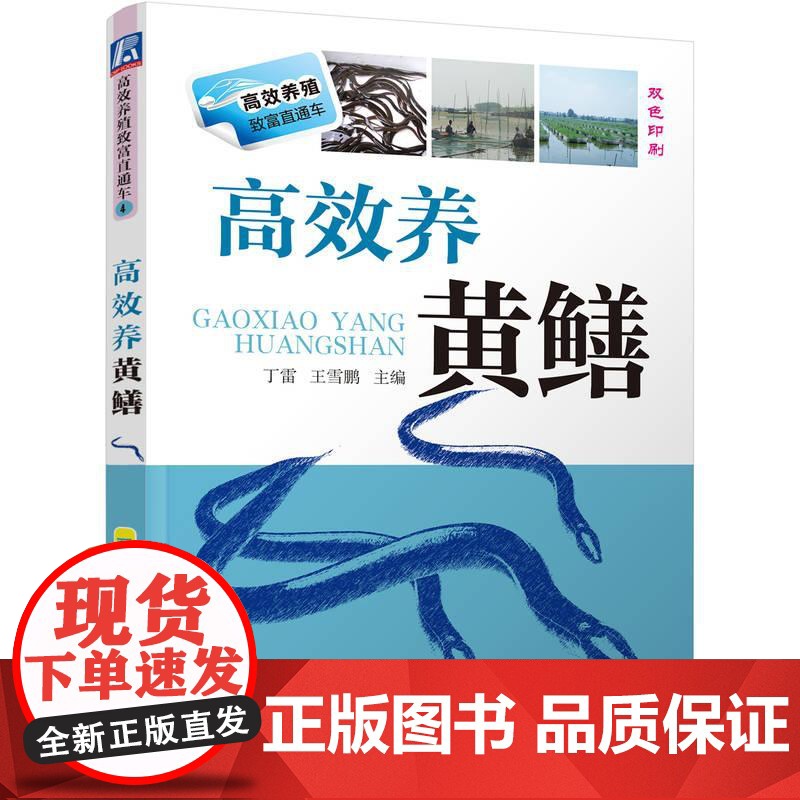 机工 高效养黄鳝 丁雷