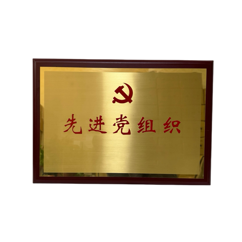 晨洋(Chanyoung)可定制奖牌 HYBG002 块
