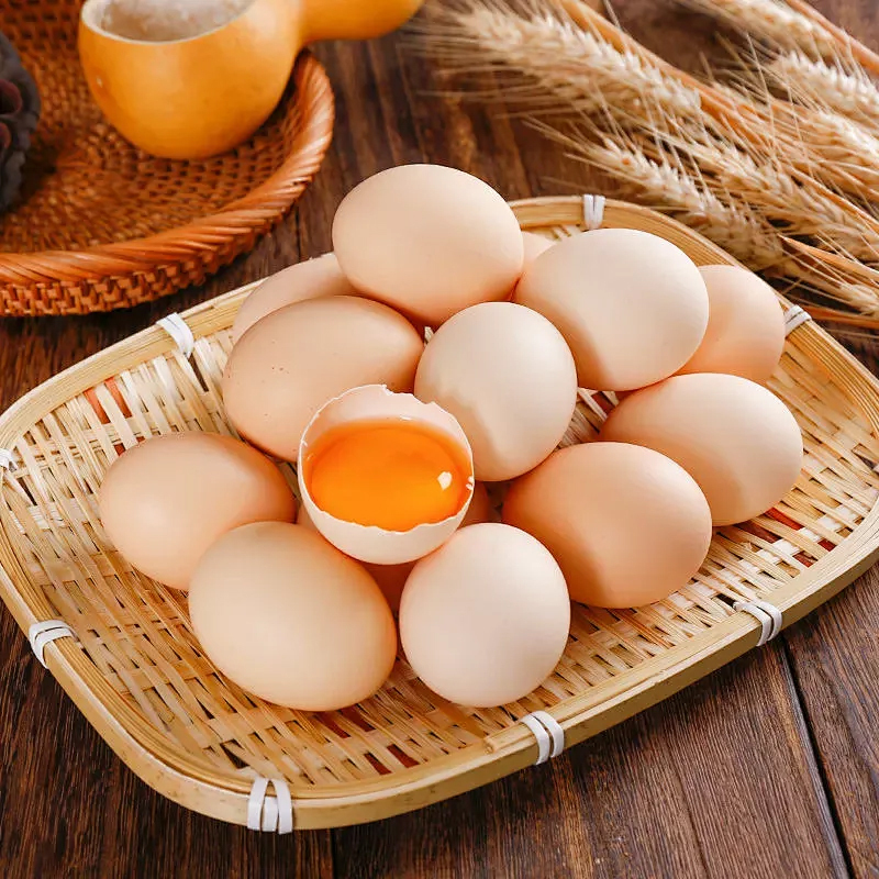 [熊猫鸟]新鲜虫草鸡蛋 40枚装 农家散养新鲜正宗草鸡蛋笨柴鸡蛋孕妇月子蛋整箱