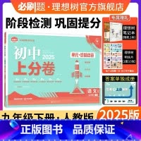 语文 人教版 九年级下 [正版]理想树2025版初中上分卷必刷题九年级下册语文人教版初中同步试卷期中期末检测单元检测同步