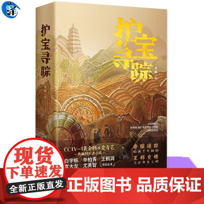 护宝寻踪 全2册 灵羲著 同名电视剧原著小说书籍 解密真实考古与文物保护熔铸盗菜犯罪与刑侦智斗书籍