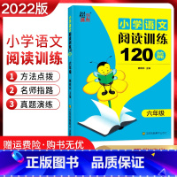 [正版]2022版超能学典小学语文阅读训练120篇六年级上下册通用版小学生6年级语文阅读专项训练习题集知识集锦方法点拨