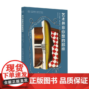 艺术并非你想的那样 唐纳德·普雷齐奥西 著 艺术理论与评论