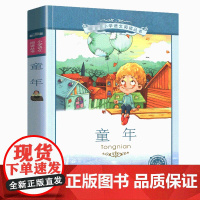 童年 书 二十一世纪出版社 彩图注音版 小学生丛书适合6-7-8-9-10岁儿童阅读文学书籍一二三年级课外书带拼音的故事