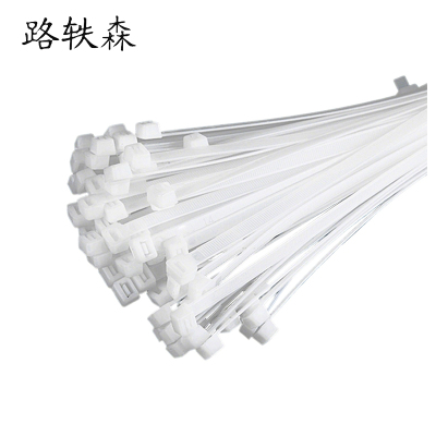 路轶森 尼龙扎带 8*500mm 根