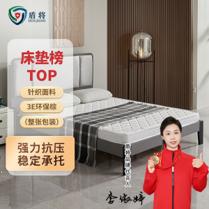 盾将 弹簧3E椰棕床垫 DJ-468S-CD018