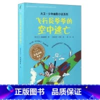 飞行员爷爷的空中逃亡 [正版]大卫少年幽默小说系列全套 了不起的大盗奶奶钱堆里的男孩圆梦小队的午夜计划 大盗奶奶的完美冒