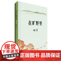 在旷野里