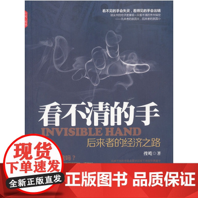 看不清的手:后来者的经济之路