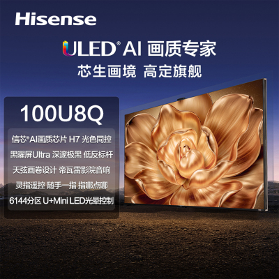 海信电视 100U8Q