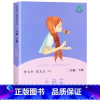 [1本]七色花 [正版]神笔马良快乐读书吧二年级下册一起长大的玩具七色花愿望的实现全套人民教育出版社课外阅读二年级下学期