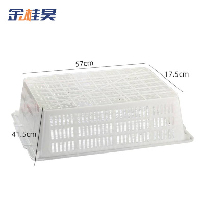 金桂昊 塑料筐 57x17.5cm 个