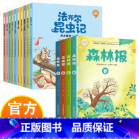 森林报+昆虫记 [正版]昆虫记+森林报春夏秋冬 彩图美绘注音版 儿童文学读物中小学生课外阅读大自然百科全书系列