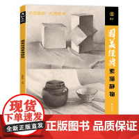 国美经典素描静物临摹书籍精选画册范本美术生对临考级艺考零基础入门教程学材照片对画联考