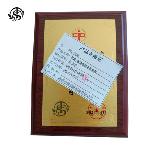 同盛 集体奖牌D 标准款 个